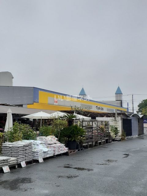 ホームセンター　ホームセンター　マツモトキヨシ　練馬春日町店（ホームセンター）まで664m