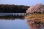 公園　洲原公園（公園）まで852m