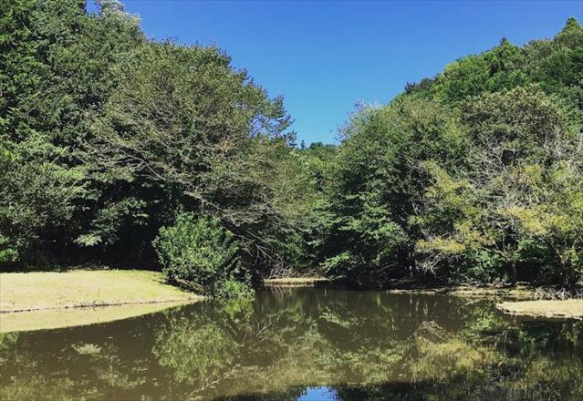 公園　県立座間谷戸山公園（公園）まで1381m