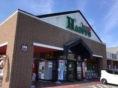 スーパー　天満屋ハピーズ京山店（スーパー）まで1163m