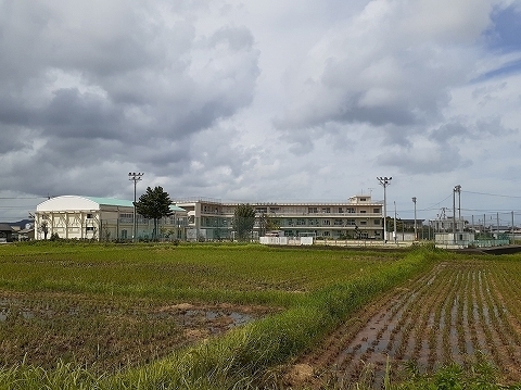 その他　新開小学校（その他）まで800m