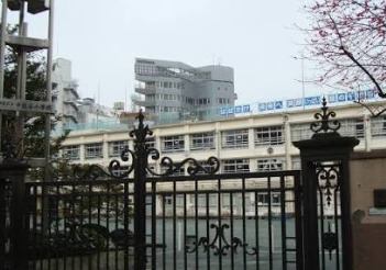小学校　渋谷区立千駄谷小学校（小学校）まで555m