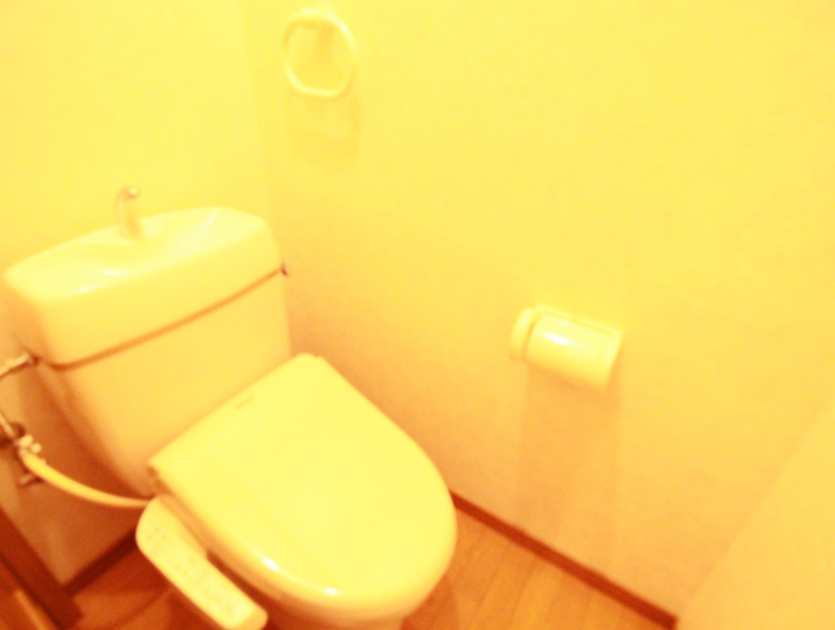 ハイムセレーノのトイレ写真