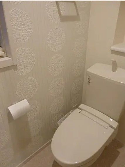 Raffine本郷 ラフィーネホンゴウのトイレ写真