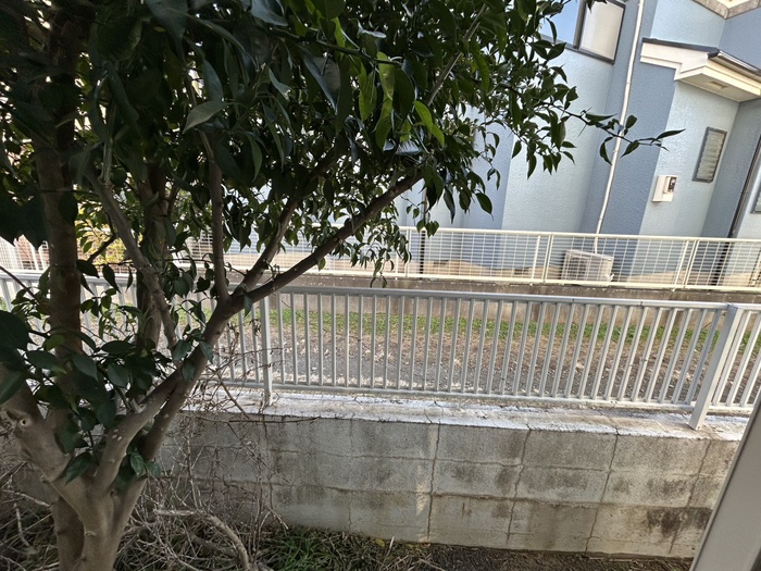 ラヴェンナのその他写真