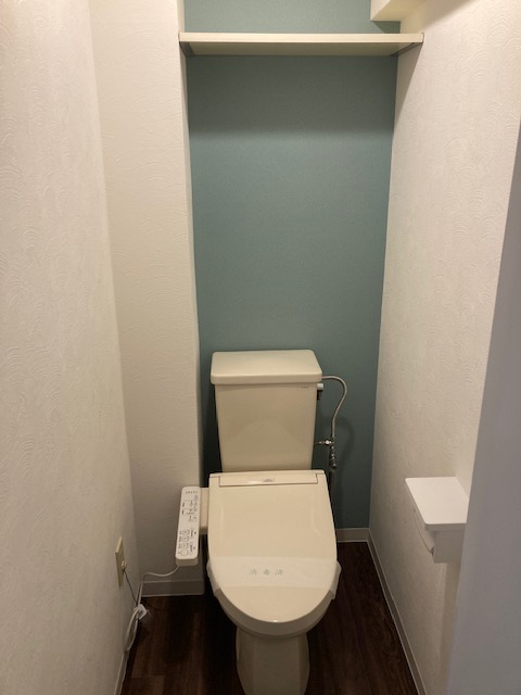 東急田園都市線 たまプラーザ駅 徒歩3分 5階建 築39年のトイレ写真