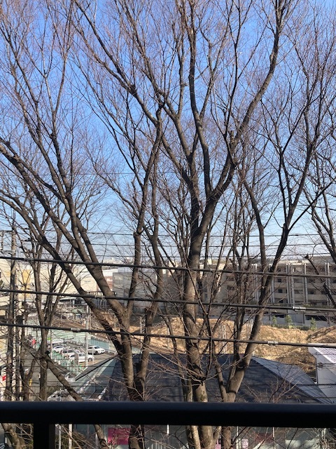 東急田園都市線 たまプラーザ駅 徒歩3分 5階建 築39年のその他写真