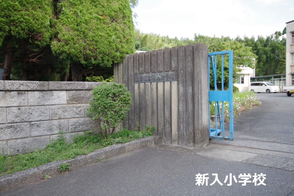 小学校　新入小学校（小学校）まで596m