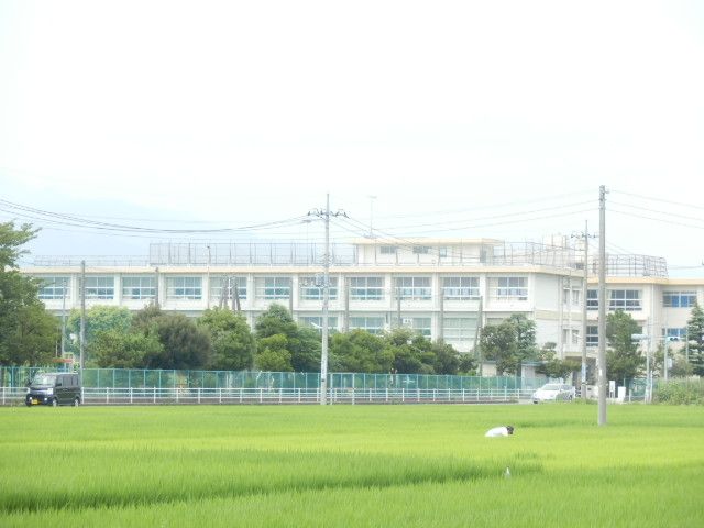 小学校　平塚市立金田小学校（小学校）まで4764m