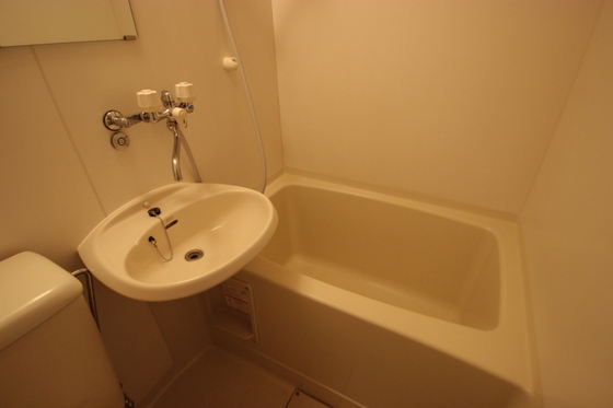 バス・シャワールーム　※他号室の写真になります