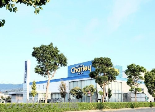 ドラックストア　ドラッグストア（ドラッグストア）まで805m