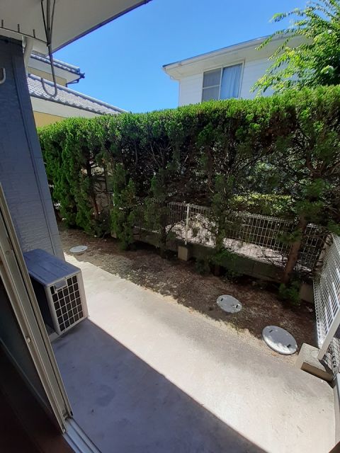庭