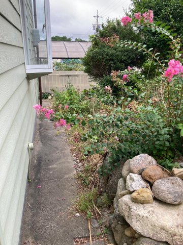 庭　お庭はご自由にお使いください