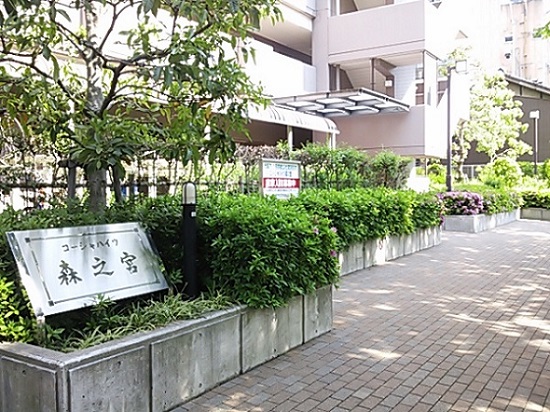 庭