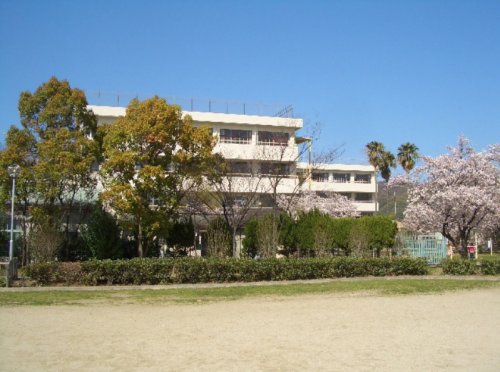 小学校　大東市立泉小学校（小学校）まで594m