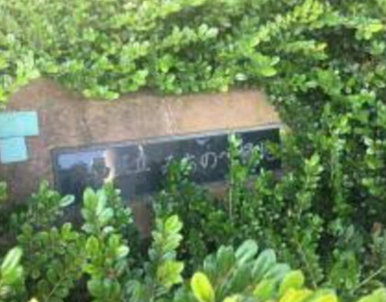 公園　みちのべ緑地（公園）まで355m