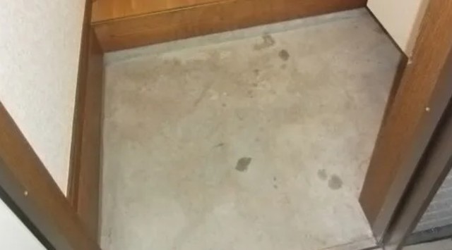 玄関　参考写真です。