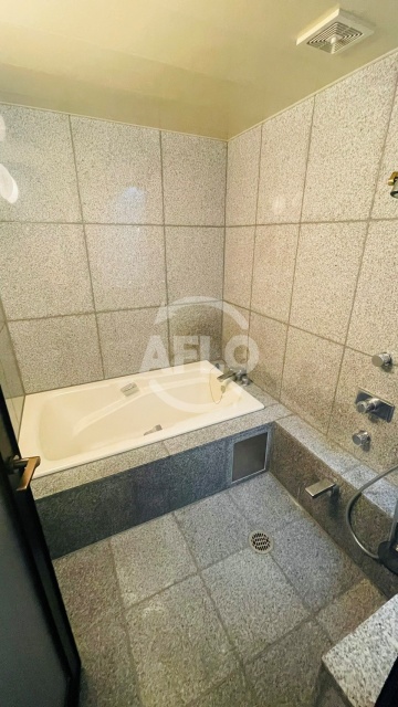 バス・シャワールーム　パレス帝塚山　浴室