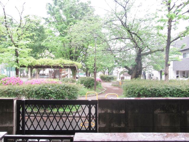 眺望　目の前は公園。緑に癒されます