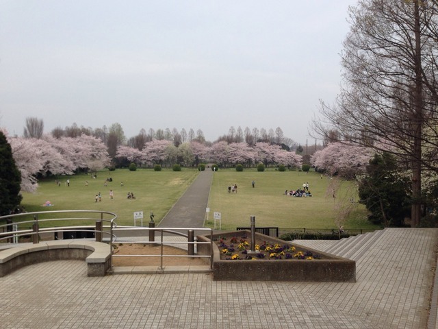 公園　市民の森　見沼グリーンセンター（公園）まで650m