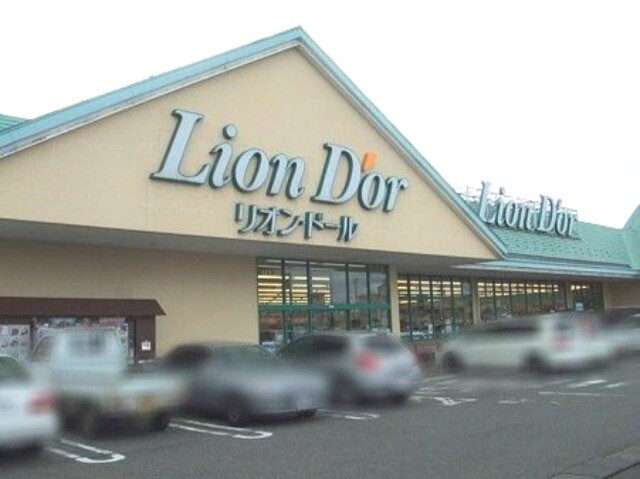 スーパー　リオン・ドール高根沢店（スーパー）まで507m