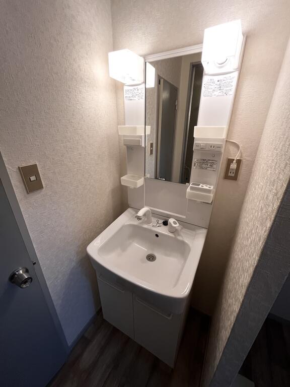 洗面設備　同タイプの別のお部屋になります