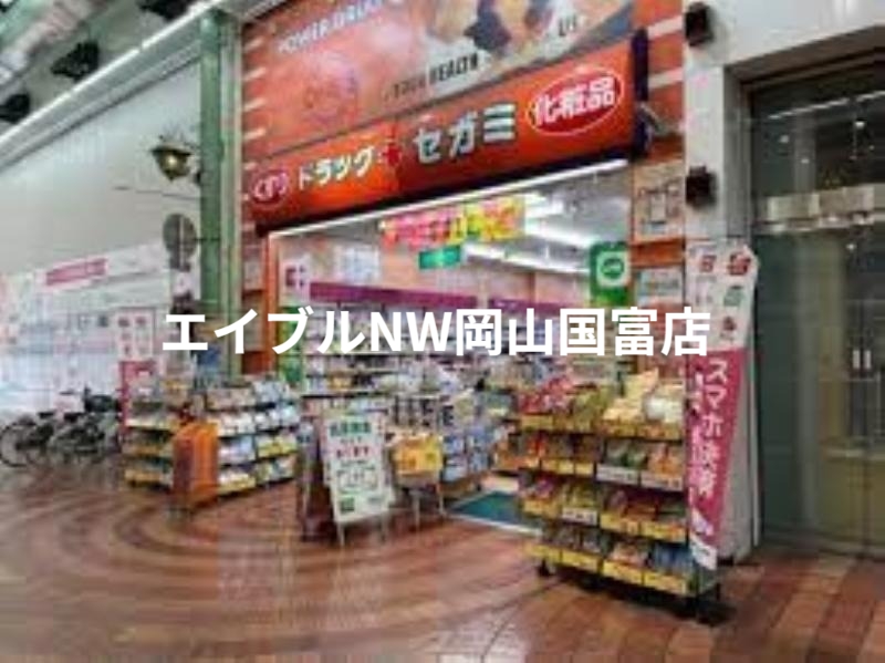 ドラックストア　ドラッグセガミ岡山表町店（ドラッグストア）まで581m
