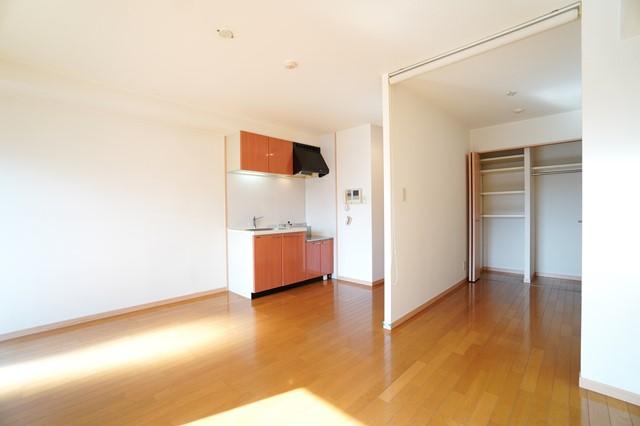 居室・リビング　写真は別号室