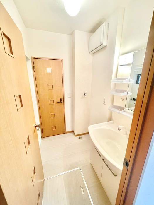 その他　同系タイプ