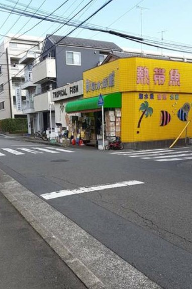 その他　新城水族館（その他）まで2062m