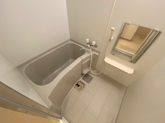 バス・シャワールーム　※別部屋の写真です