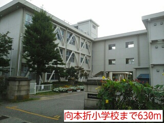 小学校　向本折小学校（小学校）まで630m
