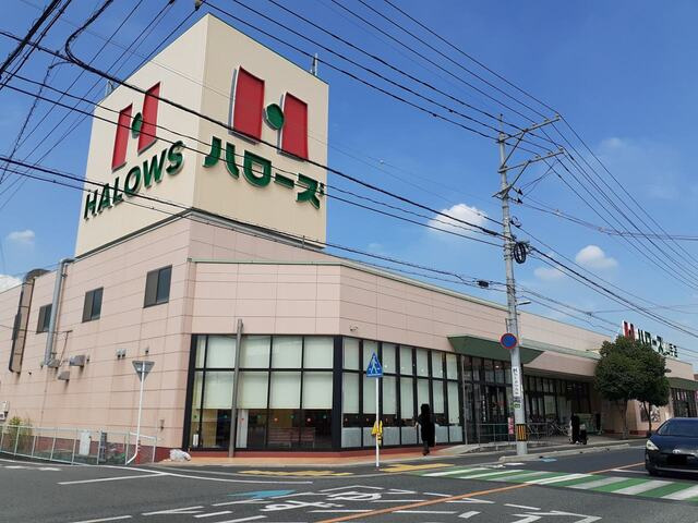 スーパー　ハローズ山手店（スーパー）まで299m