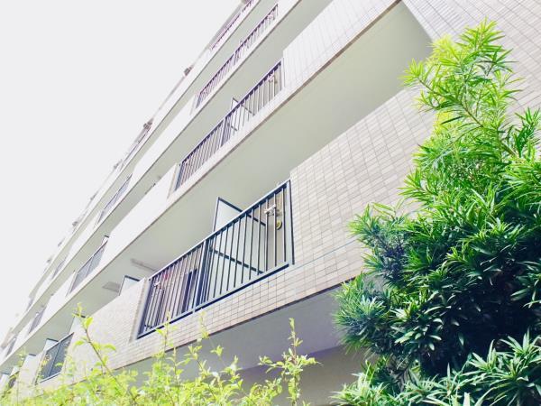 建物外観　外観です