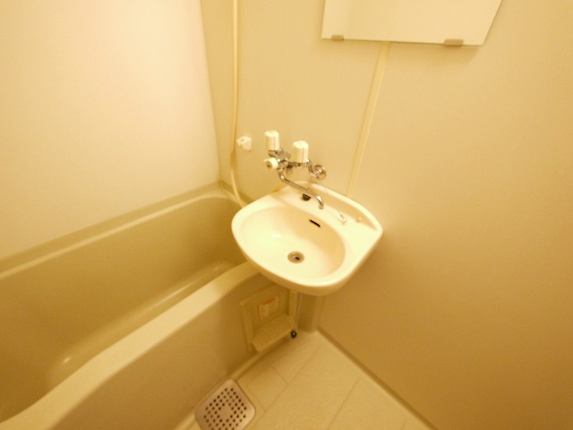 バス・シャワールーム　落ち着いた空間のお風呂です