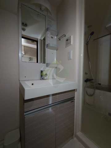 洗面設備　ラフィスタ西早稲田 306