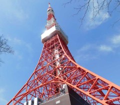 その他　日本電波塔ビル（その他）まで250m