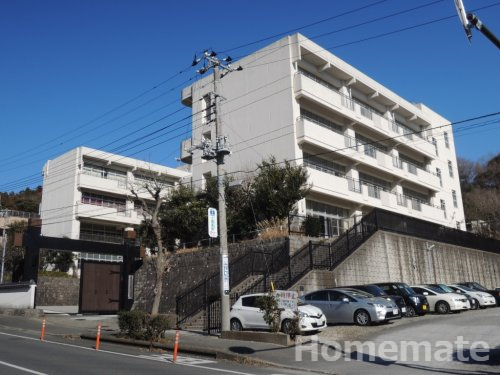 小学校　鎌倉市立植木小学校（小学校）まで1420m