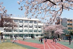 小学校　新宿区立天神小学校（小学校）まで543m