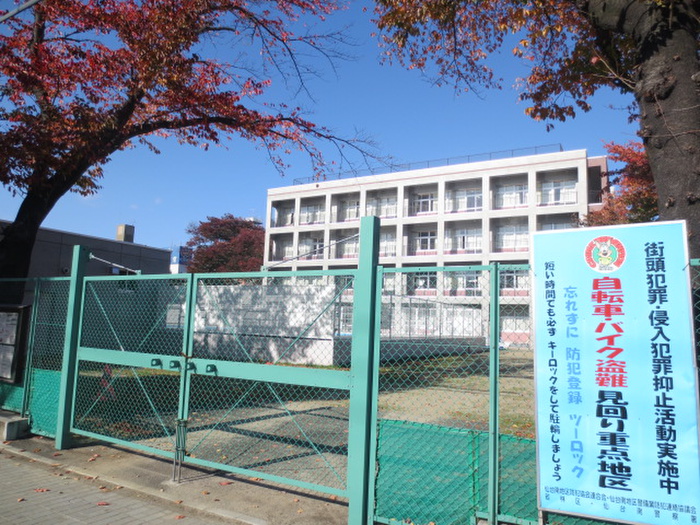 小学校　南材木小学校（小学校）まで550m