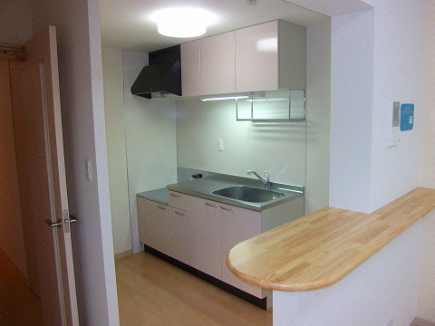 キッチン　写真、間取図面などが現況と異なる場合は現況優先となります。