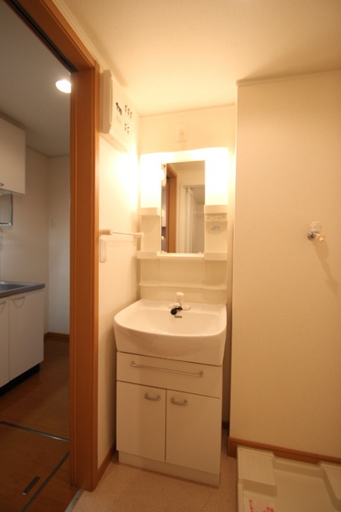 洗面設備　※他号室の写真です