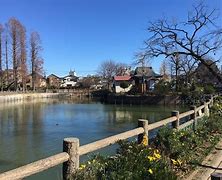 公園　碑文谷公園（公園）まで424m