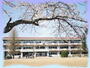 小学校　河北小学校（小学校）まで307m