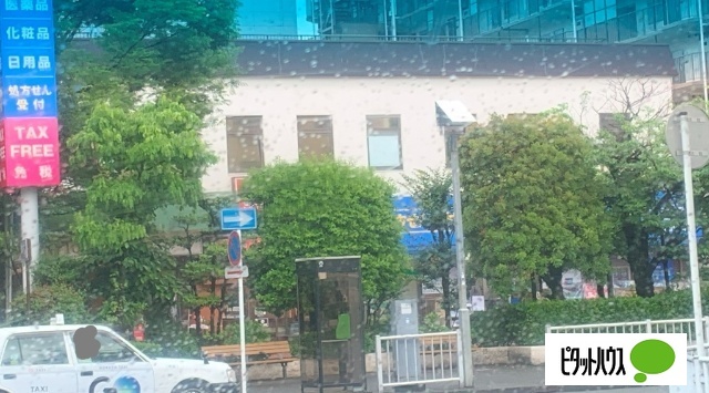 ドラックストア　ハックドラッグ根岸駅前店（ドラッグストア）まで1211m