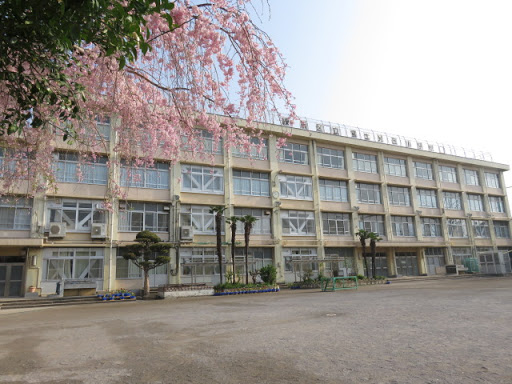 小学校　富士見台小（小学校）まで1108m