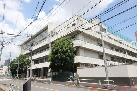 小学校　文京区立金富小学校（小学校）まで226m