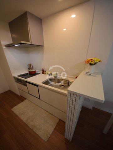 キッチン　REIOS谷町（レイオス谷町）キッチン