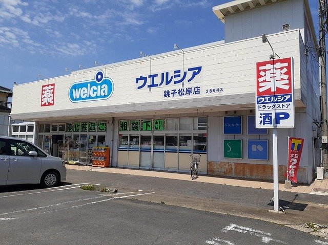 その他　ウエルシア銚子松岸店まで250m