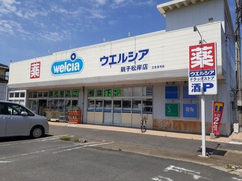 ドラックストア　ウエルシア銚子松岸店（ドラッグストア）まで306m